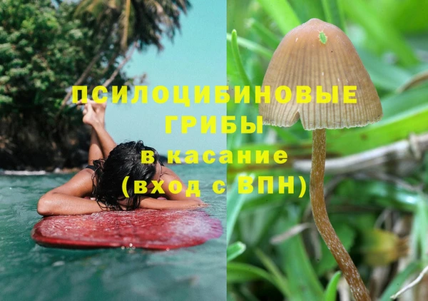 крисы Сафоново