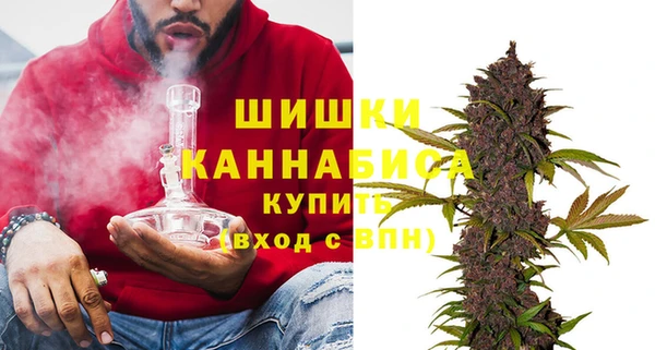 тгк Сатка