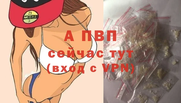 тгк Сатка