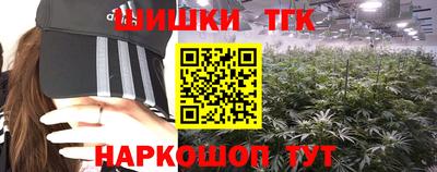 крисы Канаш