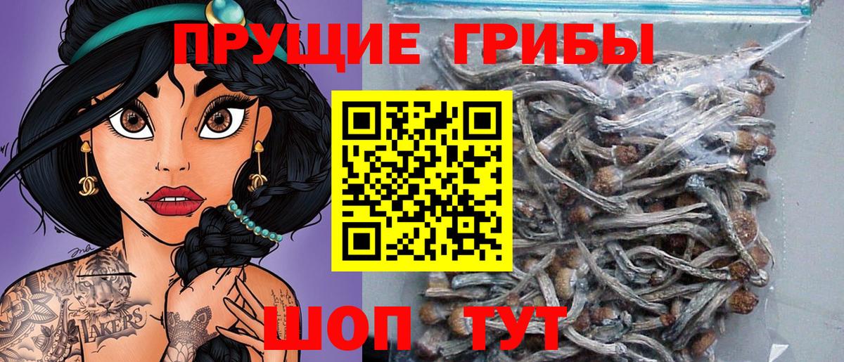 Галлюциногенные грибы MAGIC MUSHROOMS Свободный