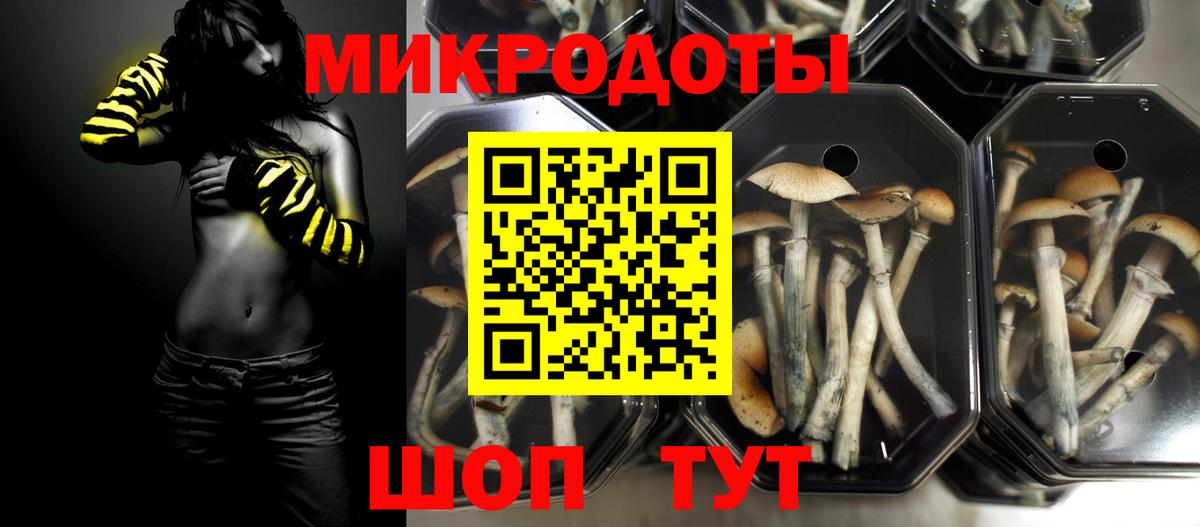 Свободный  Галлюциногенные грибы GOLDEN TEACHER  Вход с VPN 